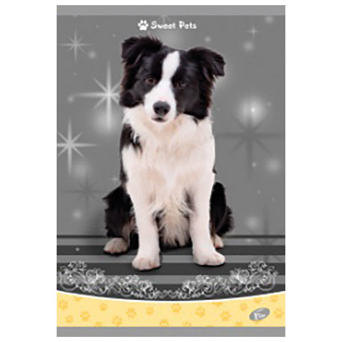 TEKA MEKI UVEZ A4 KARO 40 PLUS 2L 80G SWEET PETS ELISA
