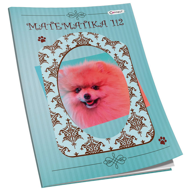 OBRAZAC ŠKOLSKI MATEMATIKA ZA 1 I 2RAZRED SOFT PLUS  CONNECT GIRL