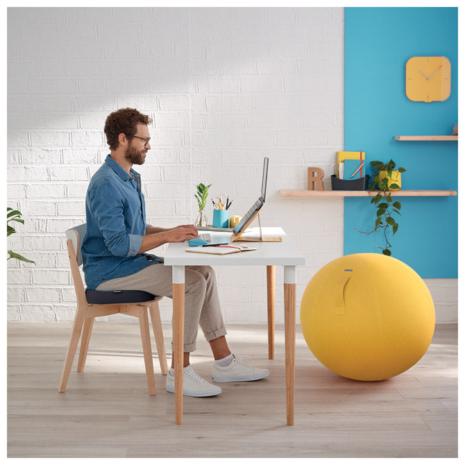 JASTUK ZA STOLICU ERGONOMSKI ERGO COSY LEITZ 52840089 SIVI