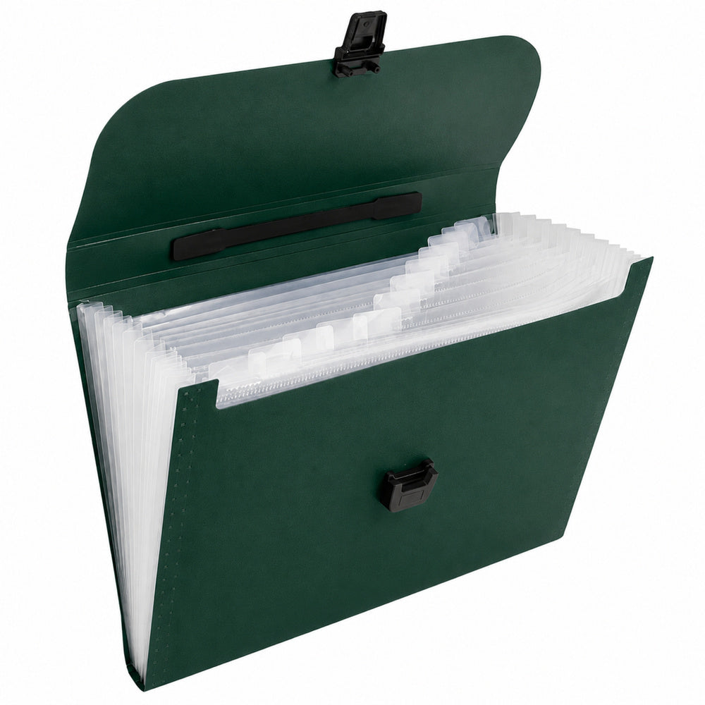 Folder Organizer for Documents, 13 Compartments, Green, A4, Holder