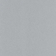 Metallic Silver Grey 5881 PE