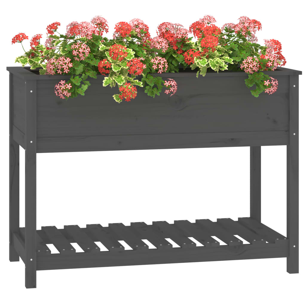 Sadilica s policom siva 111,5x54x81 cm od masivne borovine