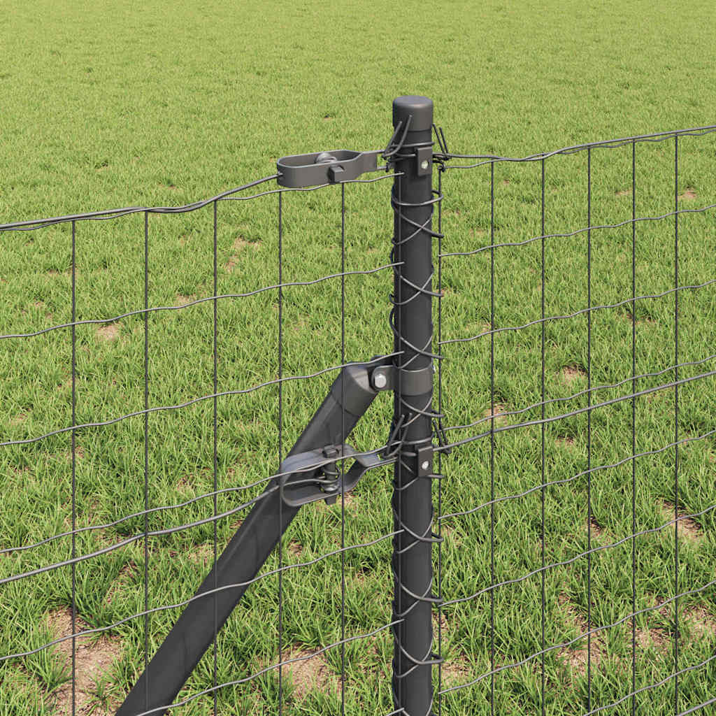 Temeljna zavarena žičana ograda 10 x 0,8 m (Š x V)