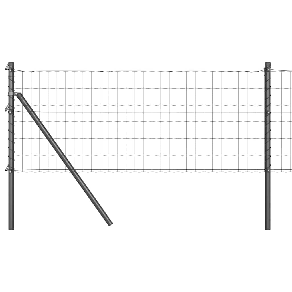 Temeljna zavarena žičana ograda 10 x 0,8 m (Š x V)