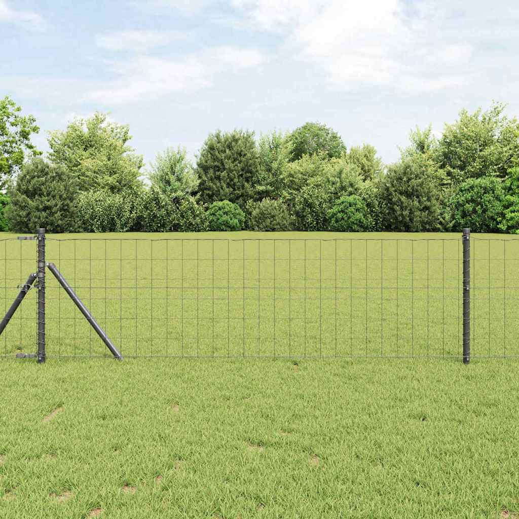 Temeljna zavarena žičana ograda 10 x 0,8 m (Š x V)