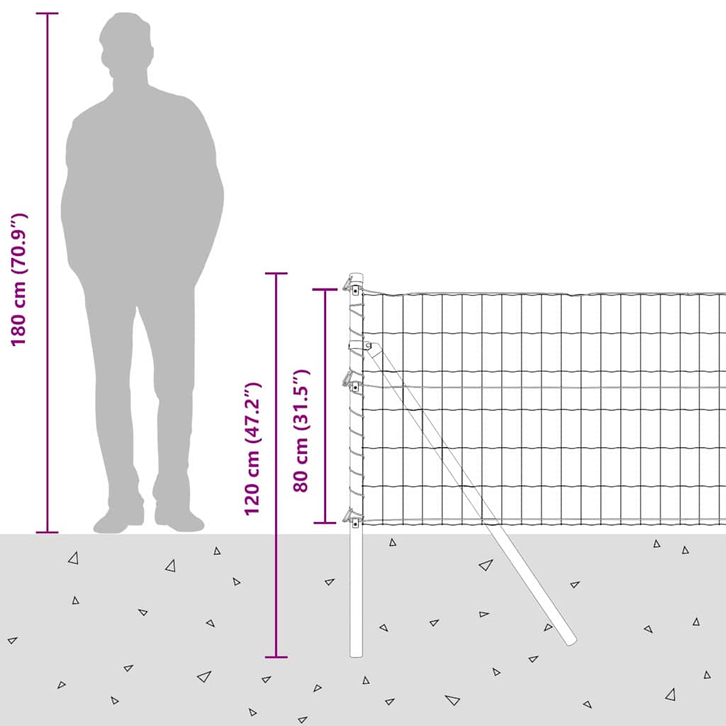 Temeljna zavarena žičana ograda 25 x 0,8 m (Š x V)