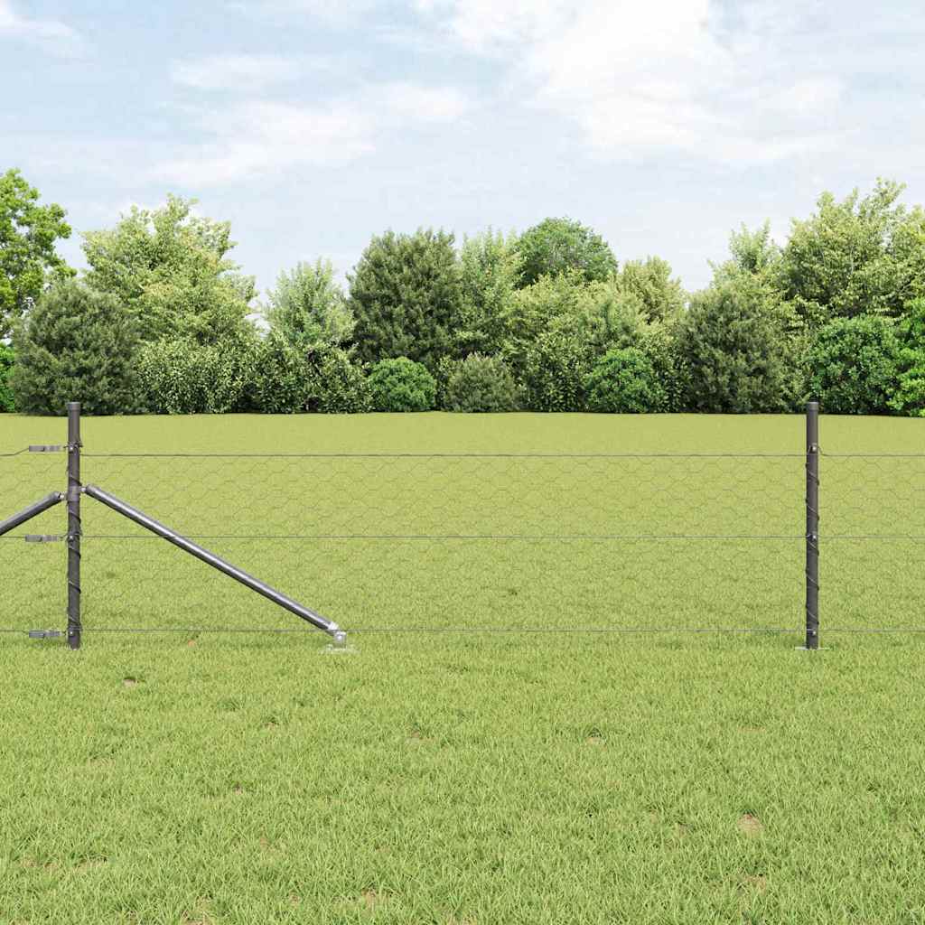 Zavareno žičano ograđivanje s bodljama 50 x 0,5 m (Š x V)