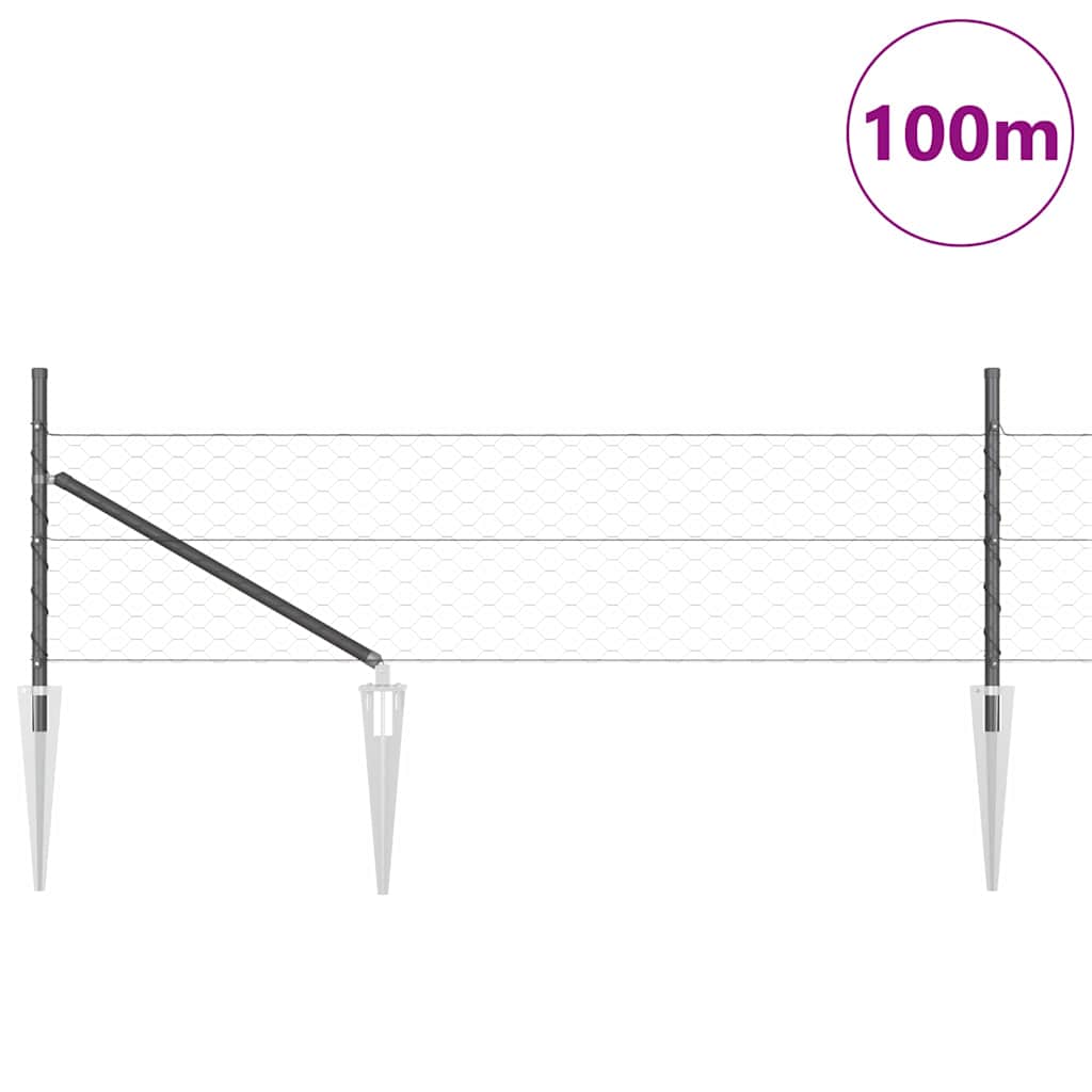 Zavareno žičano ograđivanje s bodljama 100 x 0,8 m (Š x V)