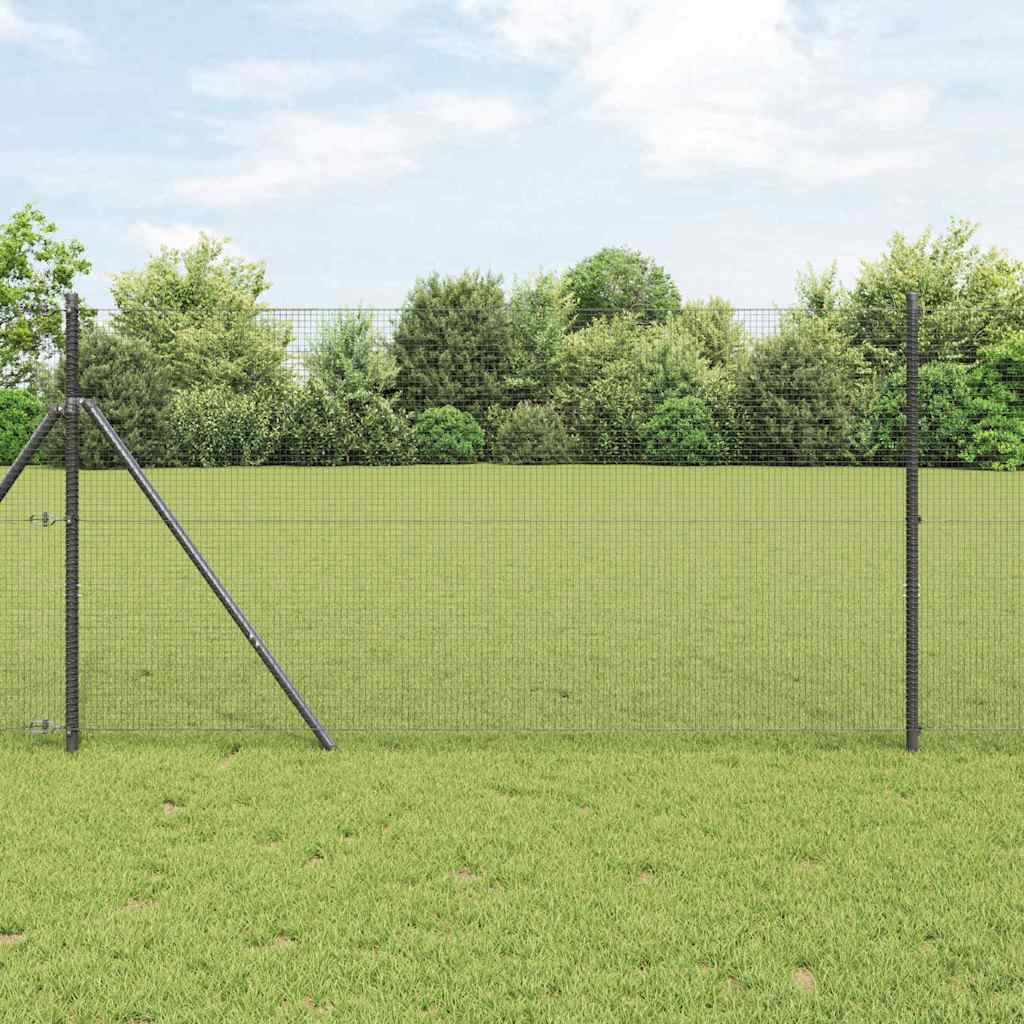 Temeljna zavarena žičana ograda 100 x 1 m Čelik premazan PVC-om