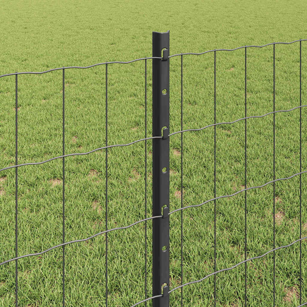 Zavarena žičana ograda 10 x 0,8 m (Š x V) Čelik premazan PVC-om