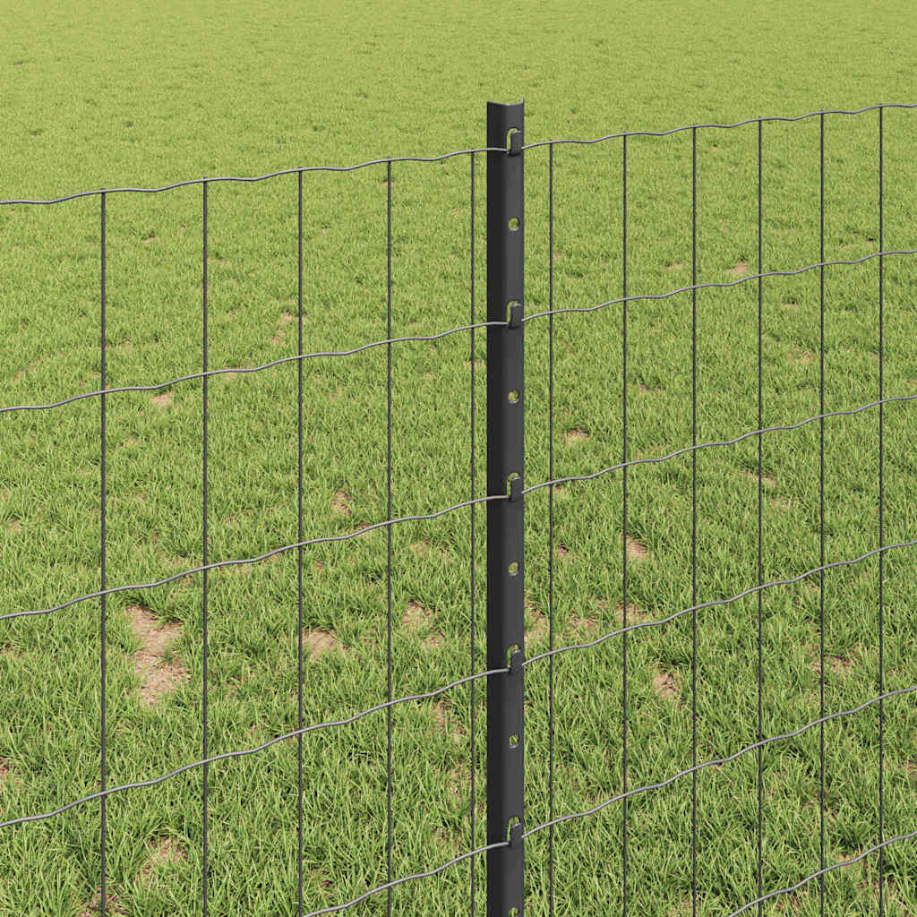 Zavarena žičana ograda 25 x 1 m (Š x V) Čelik premazan PVC-om