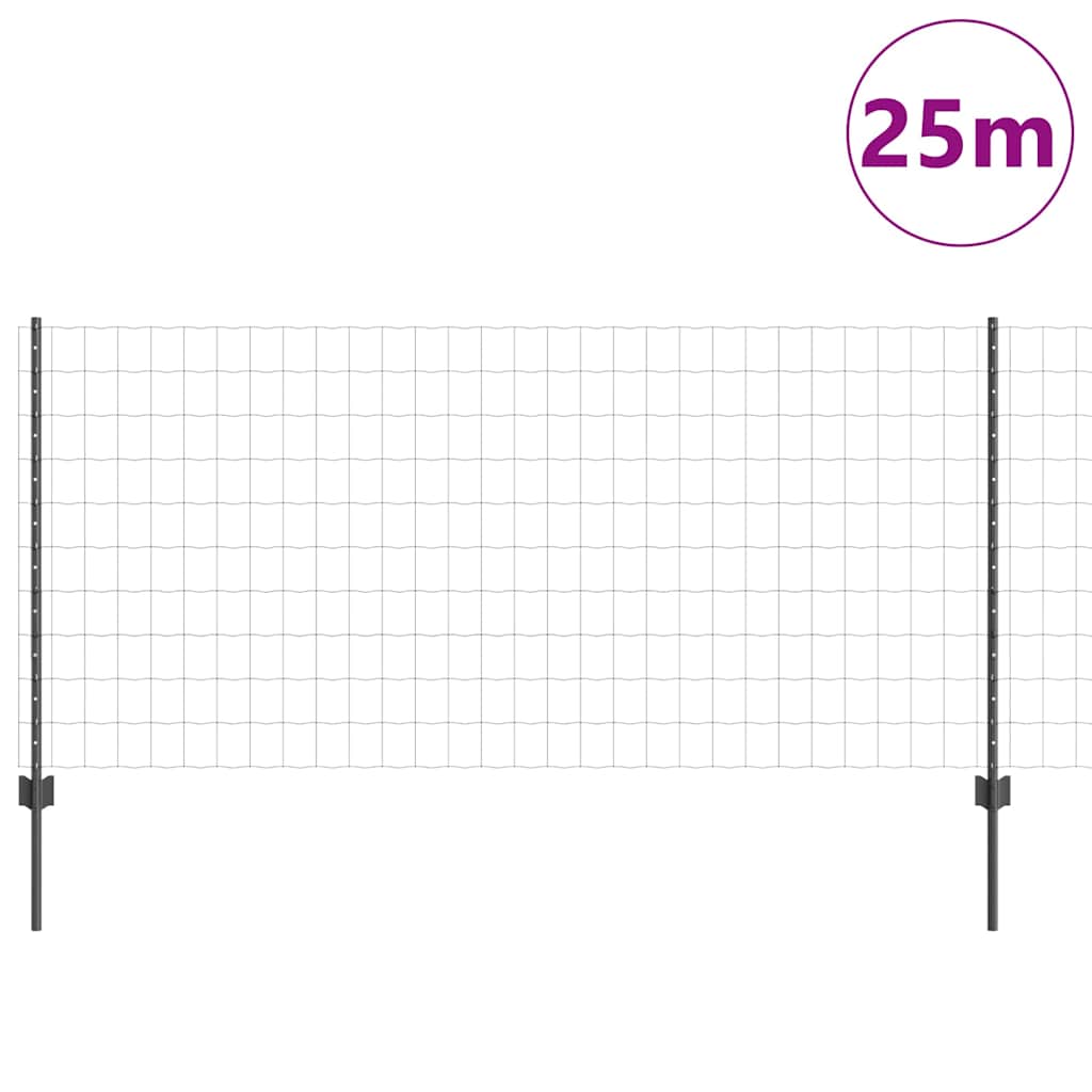 Zavarena žičana ograda 25 x 1 m (Š x V) Čelik premazan PVC-om