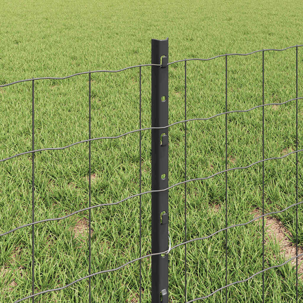 Zavarena žičana ograda 10 x 0,4 m (Š x V) Čelik premazan PVC-om