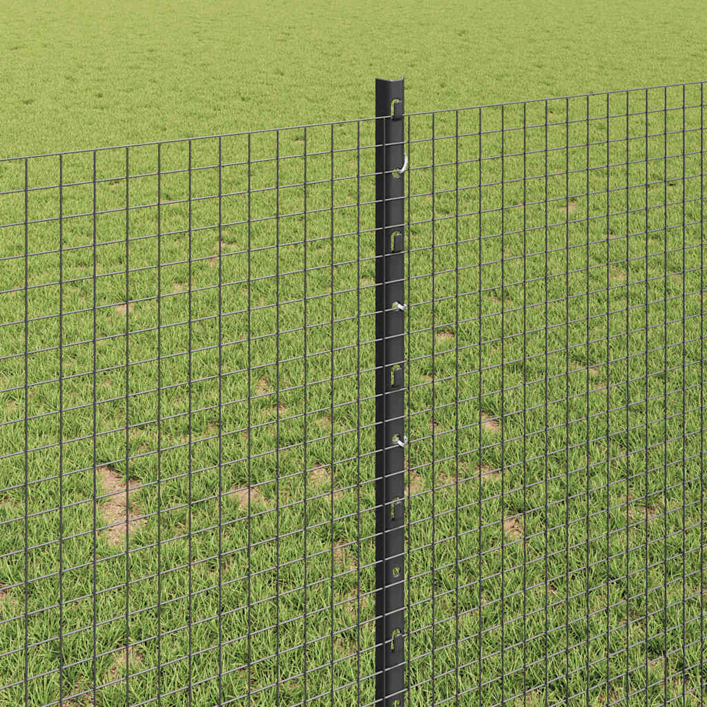 Zavarena žičana ograda s postom 10 x 1 m (Š x V)