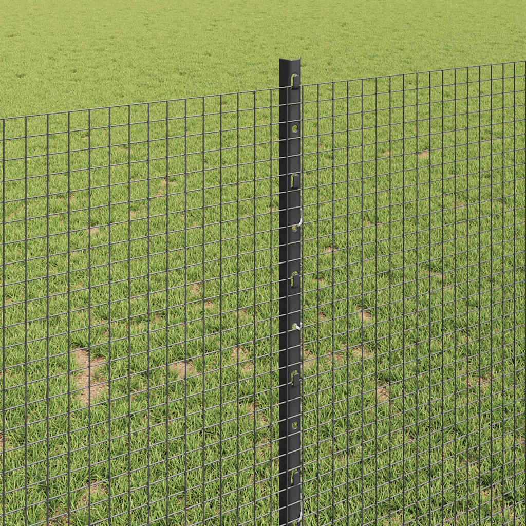 Zavarena žičana ograda s postom 100 x 1 m Čelik premazan PVC-om