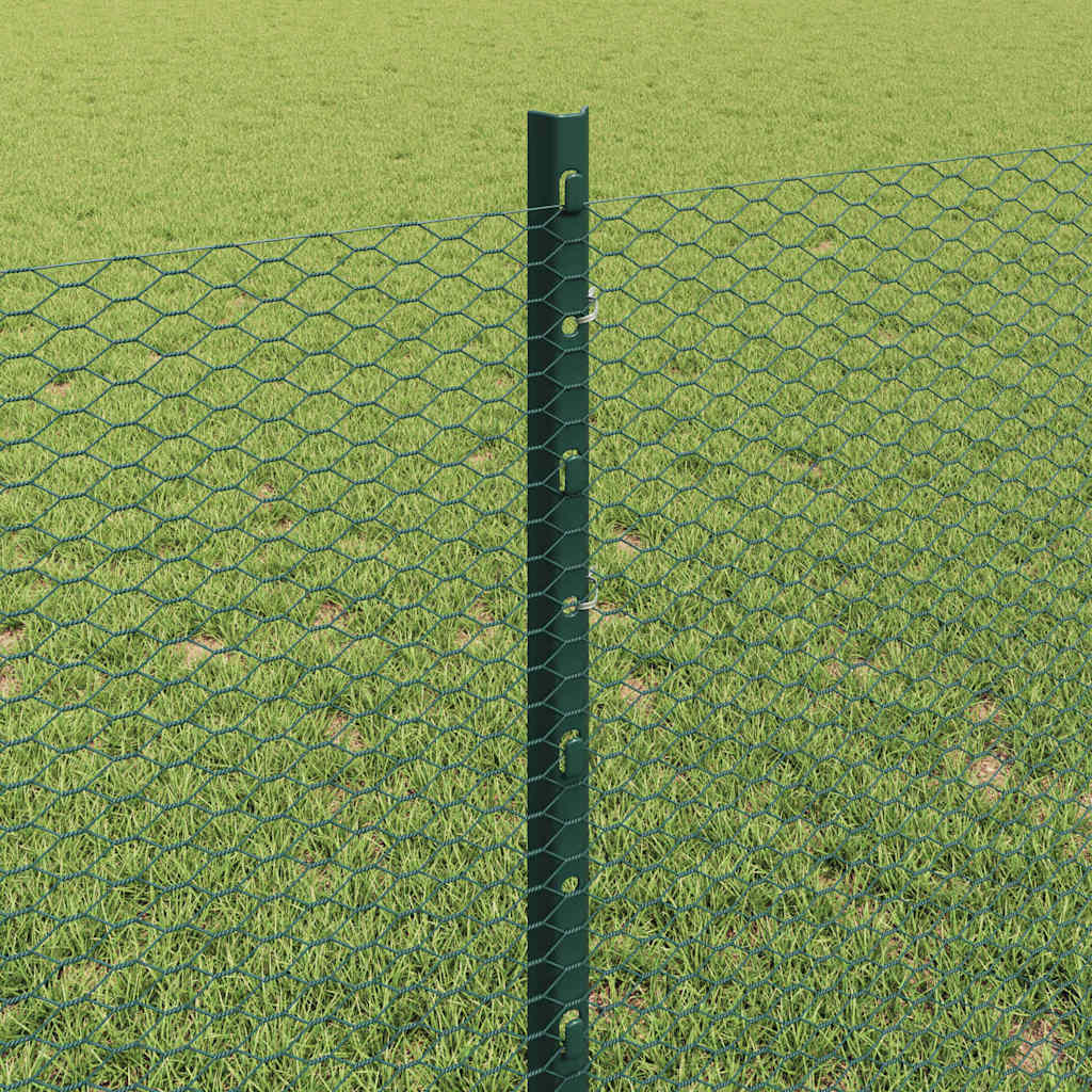 Zavarena žičana ograda 50 x 0,8 m (Š x V) Čelik premazan PVC-om