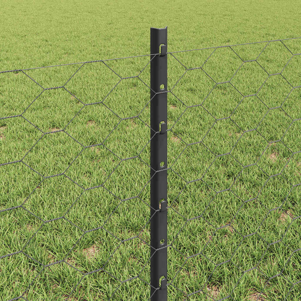 Zavarena žičana ograda 10 x 0,6 m (Š x V) Čelik premazan PVC-om