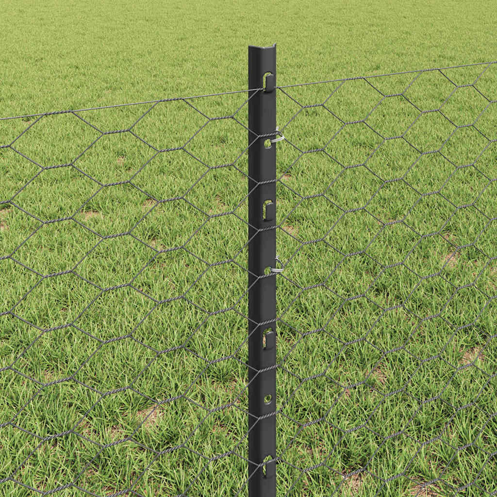 Zavarena žičana ograda 25 x 0,6 m (Š x V) Čelik premazan PVC-om