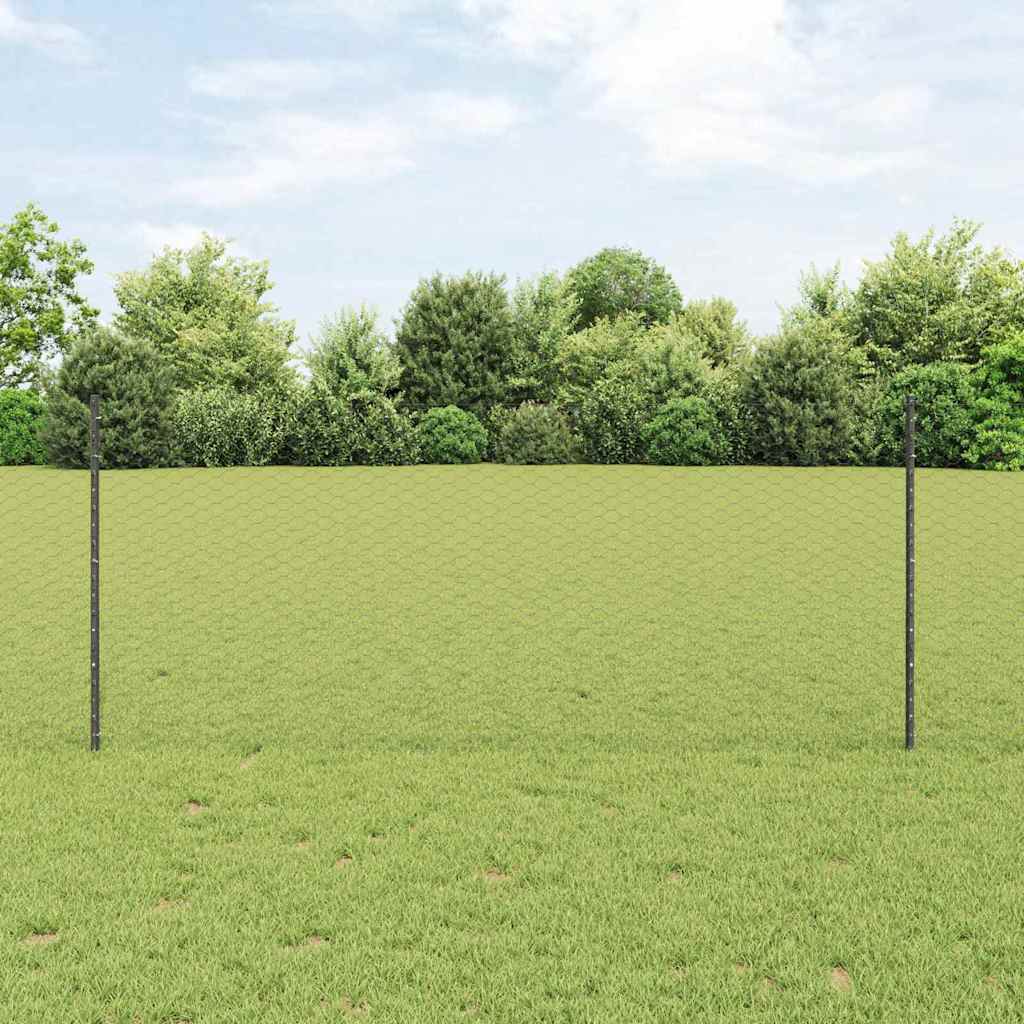 Zavarena žičana ograda 25 x 1 m (Š x V) Čelik premazan PVC-om