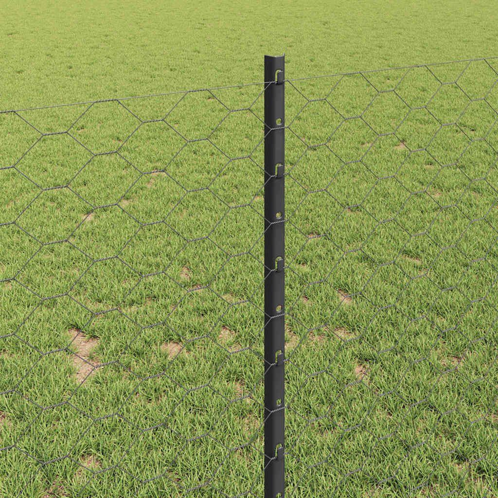 Zavarena žičana ograda 25 x 1 m (Š x V) Čelik premazan PVC-om