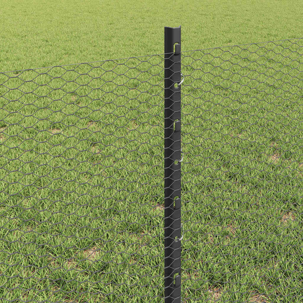 Zavarena žičana ograda 50 x 0,6 m (Š x V) Čelik premazan PVC-om