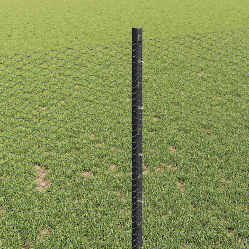 Zavarena žičana ograda 50 x 1 m (Š x V) Čelik premazan PVC-om