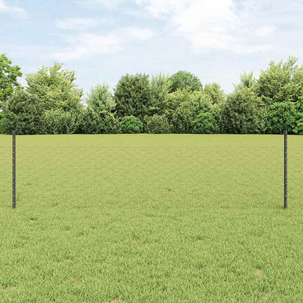 Zavarena žičana ograda 100 x 0,5 m (Š x V)