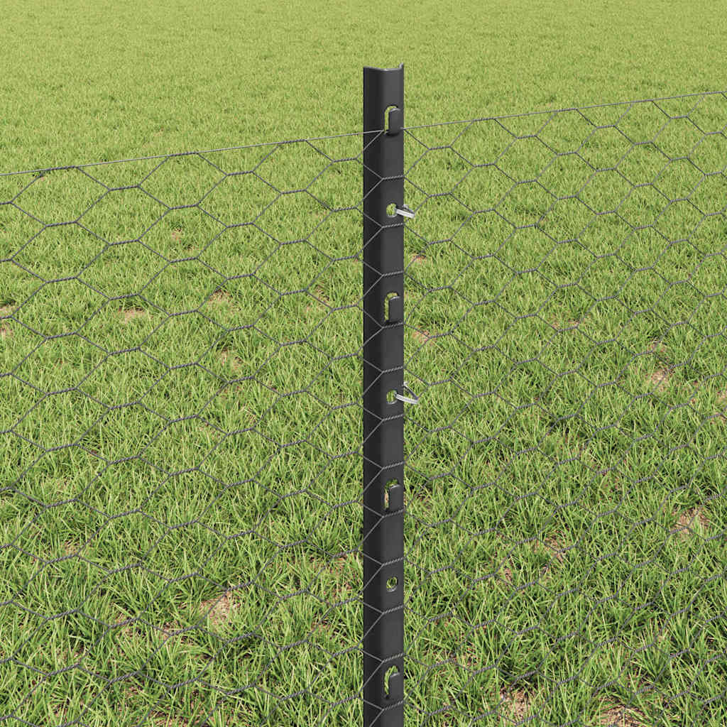 Zavarena žičana ograda 100 x 0,6 m (Š x V)