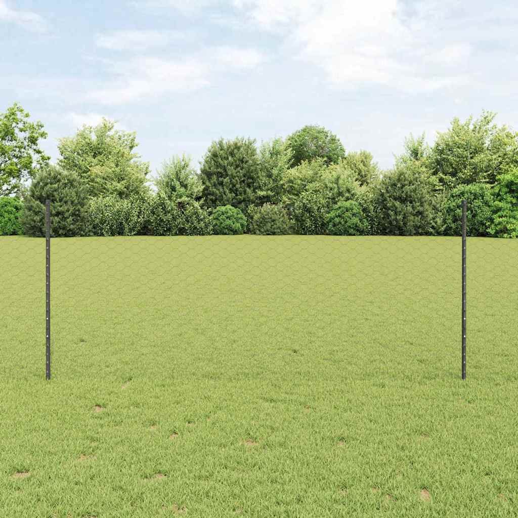 Zavarena žičana ograda 100 x 1 m (Š x V) Čelik premazan PVC-om