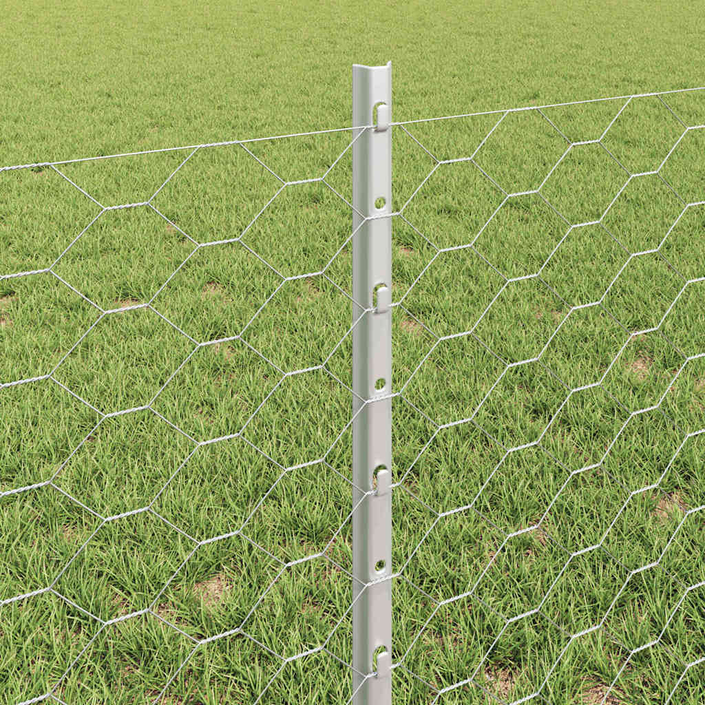 Zavarena žičana ograda 10 x 0,6 m (Š x V) Vruće pocinčani čelik