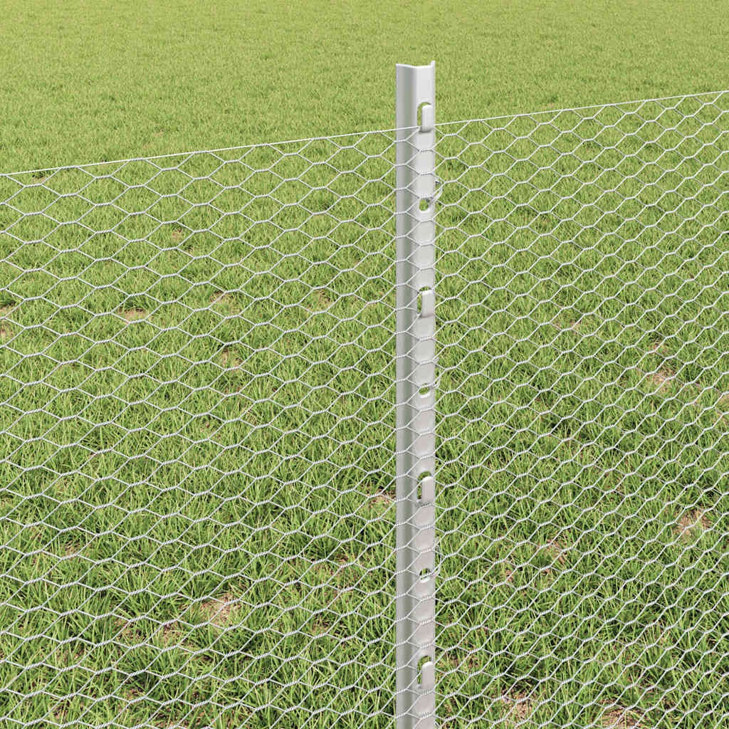 Zavarena žičana ograda 50 x 0,6 m (Š x V) Vruće pocinčani čelik