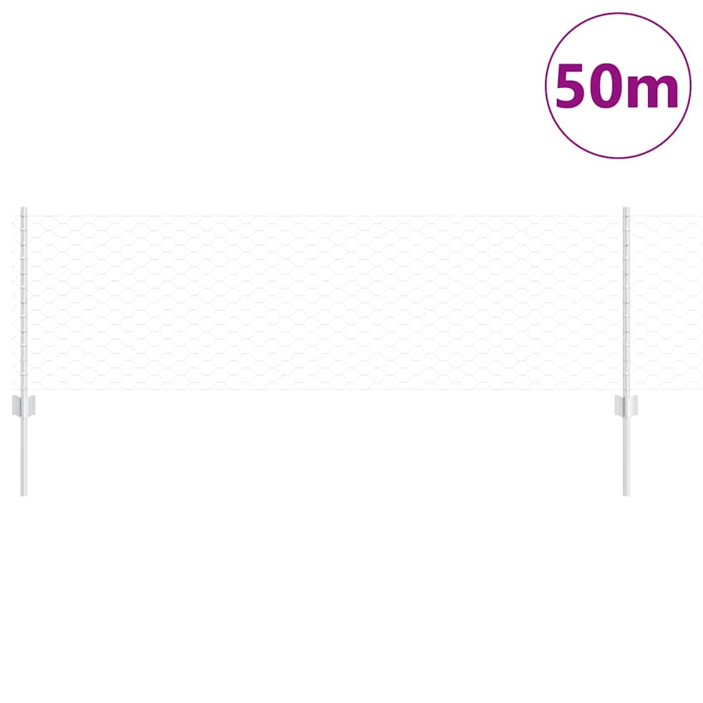 Zavarena žičana ograda 50 x 0,6 m (Š x V) Vruće pocinčani čelik