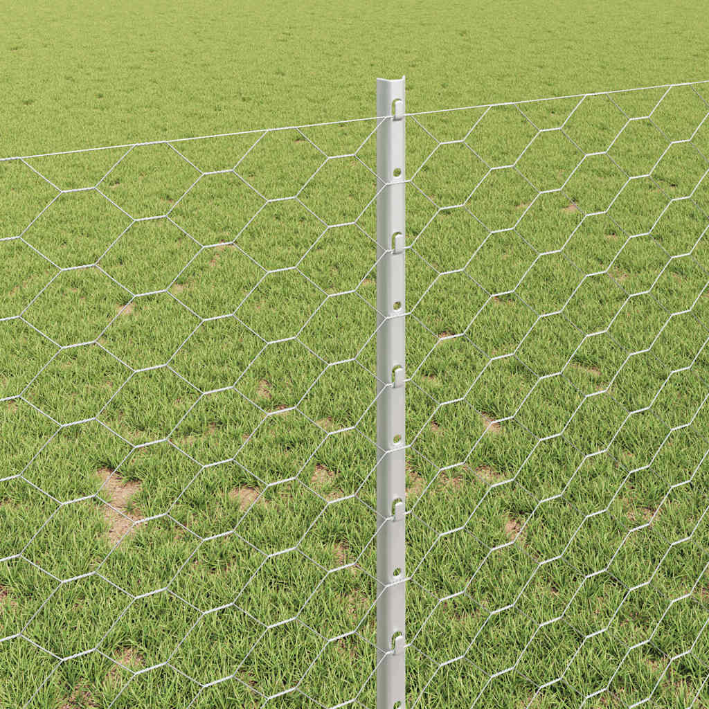 Zavarena žičana ograda 50 x 1 m (Š x V) Vruće pocinčani čelik