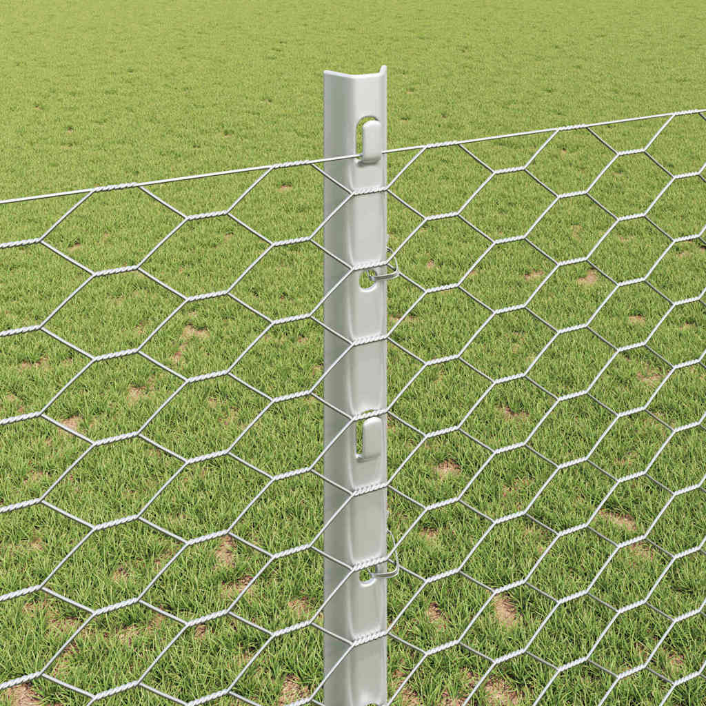 Zavarena žičana ograda 50 x 1,2 m (Š x V) Vruće pocinčani čelik