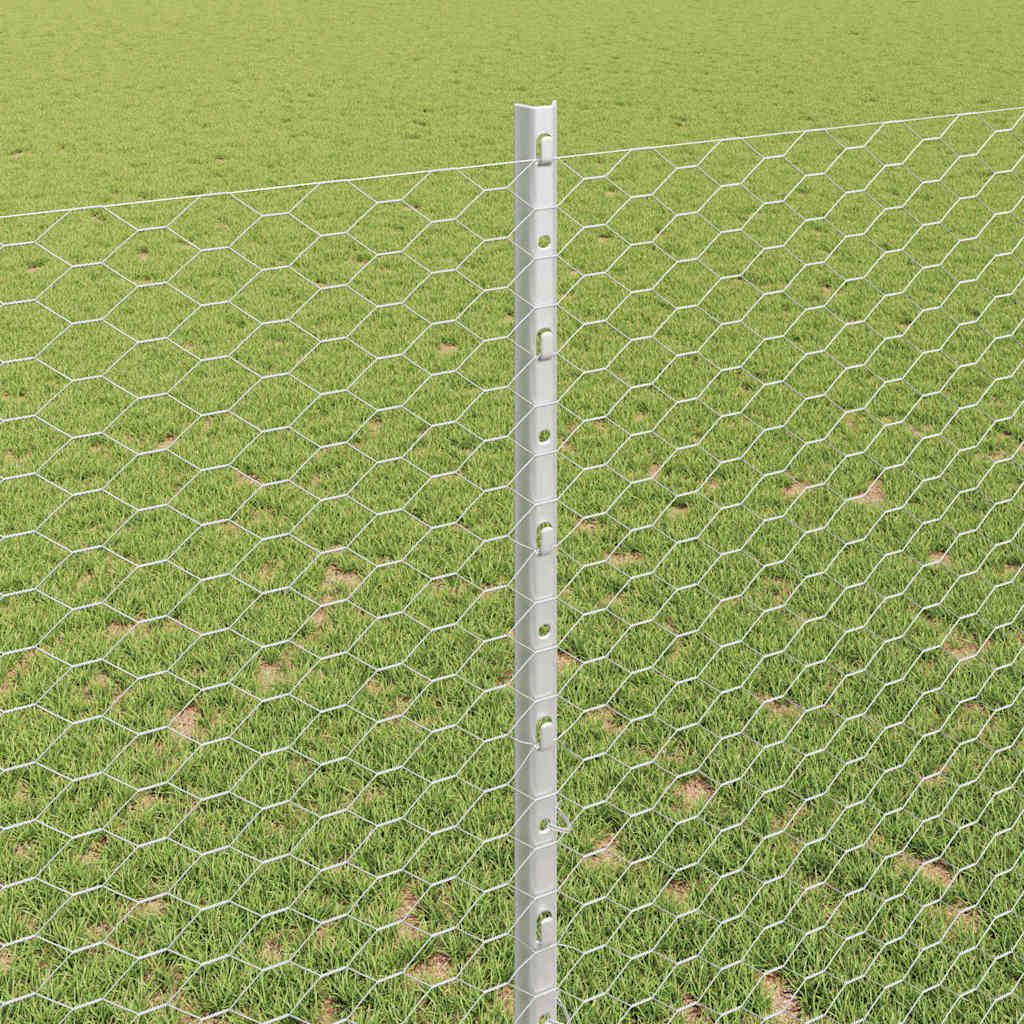 Zavarena žičana ograda 50 x 1,4 m (Š x V) Vruće pocinčani čelik