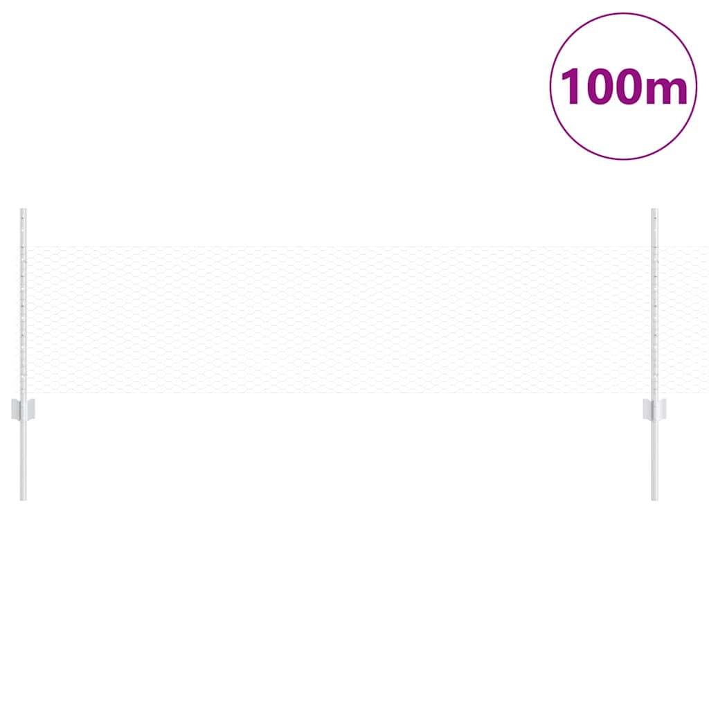 Zavarena žičana ograda 100 x 0,5 m (Š x V)