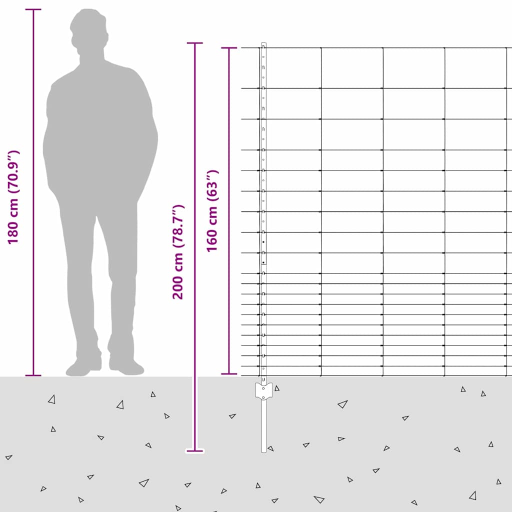 Divlja Ograde s Stupovima 25 x 1,6 m (Š x V)