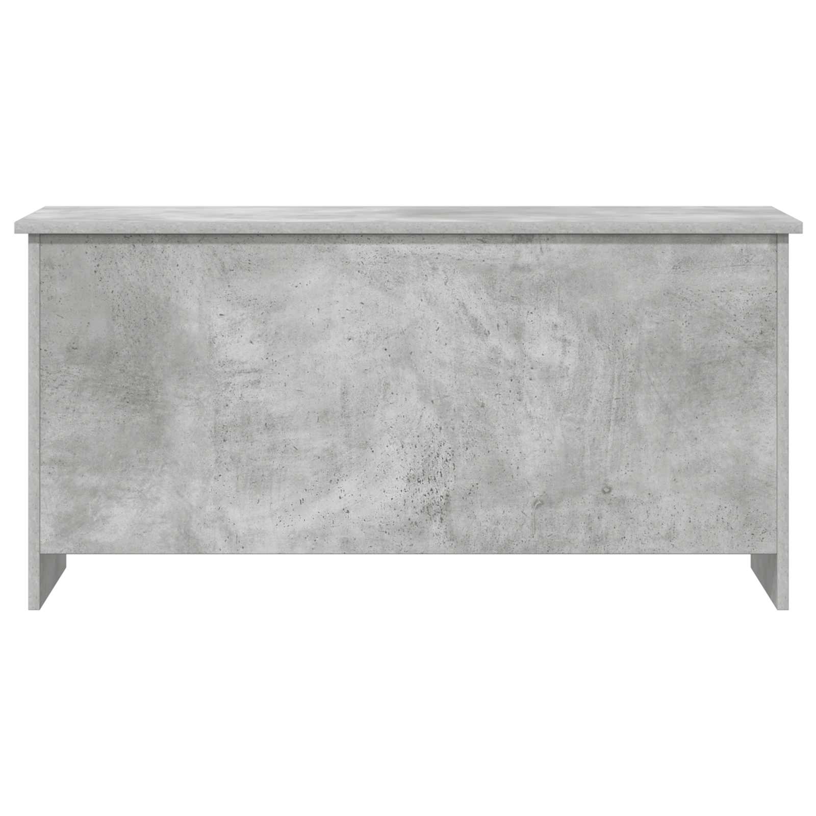 Skladišni kovčeg s pohranom Betonska siva 100 x 40 x 50 cm