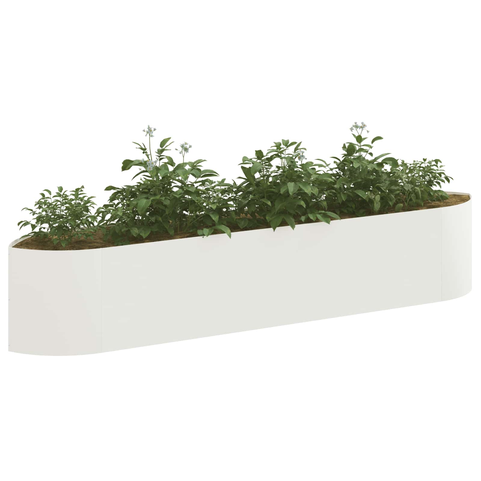 Povišeni vrtni krevet Bijela 220 x 40 x 40 cm Čelik