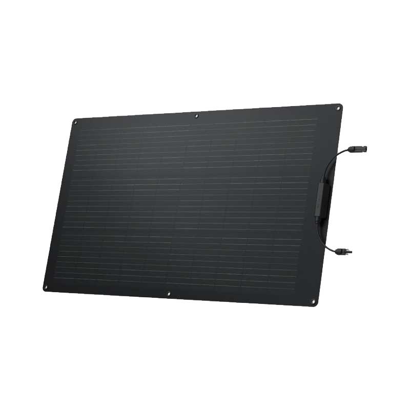 EcoFlow 2 x 100W Solar Panel (Flexible)