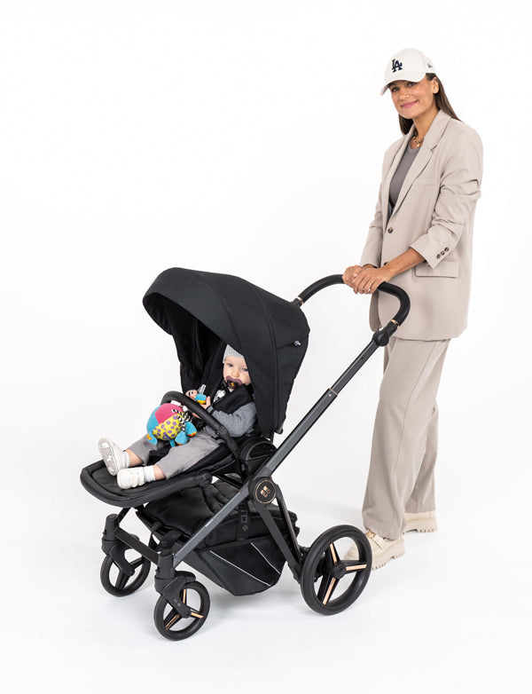 Dječja kolica Bebetto Monti 02/Stella 2u1