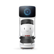 Robot guide G2