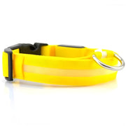 Svjetleći ovratnik za psa s USB punjenjem - Žuta / XL KP30723