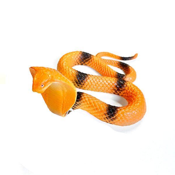 Gumena zmija Siva
