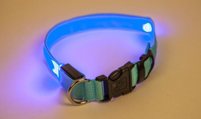 LED svijetleća ogrlica za pse u veličini po izboru